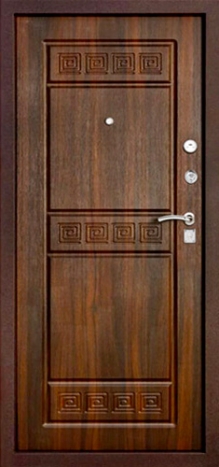 Фотография «Дверь стальная с порошковым покрытием коричневая №50»