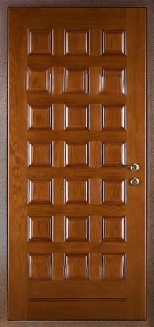 Фотография «Дверь для дачи железная с порошковым напылением медный антик №1»