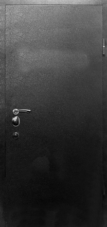 Фотография «Дверь для загородного дома железная с порошковым покрытием черная №69»