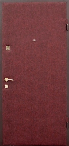 Фотография «Дверь временная металлическая с покрытием нитроэмалью №8»