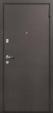 Фотография «Железная дверь эконом с порошковым напылением №11»